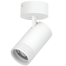 Светильник накладной LIGHTSTAR CANNO PRO C4406SO